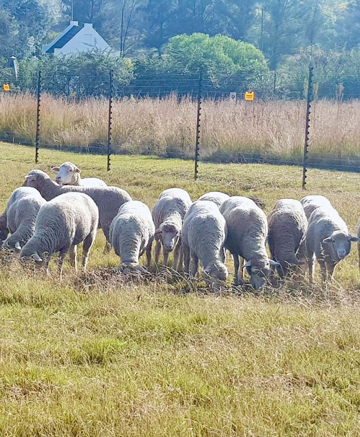 Agriculture bg img 1