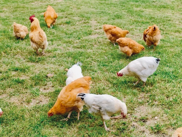 f5c8b2b8 ca47 4575 b665 75112a8778bf